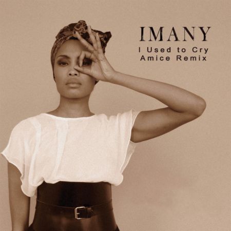 Imany - I Used To Cry (Amice Remix).mp3