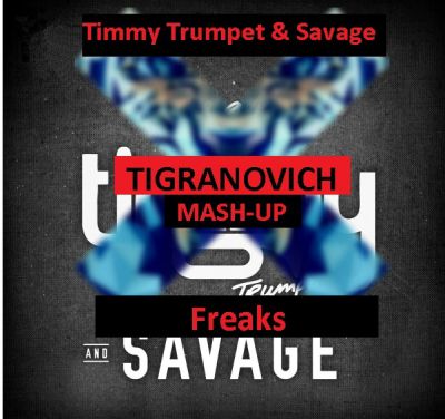 Timmy Trumpet & Savage x Nikolay Suhovarov x Frost x Robby Mond - Freaks (TIGRANOVICH MASH-UP).mp3