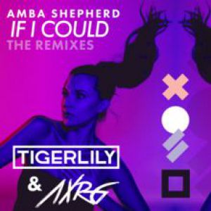 Amba Shepherd - If I Could (AXRG Remix).mp3