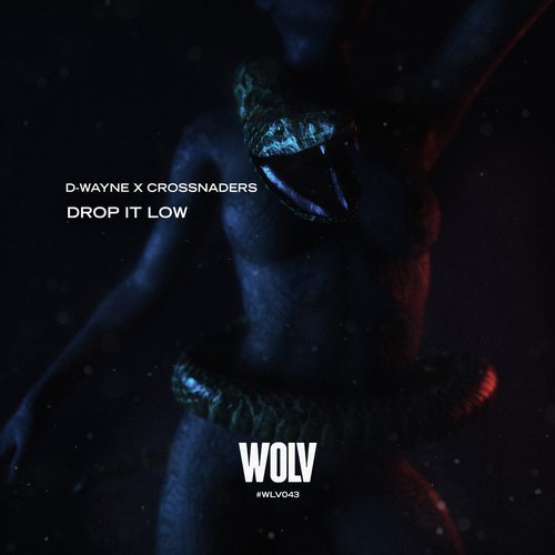 D-Wayne, Crossnaders - Drop It Low (Original Mix).mp3