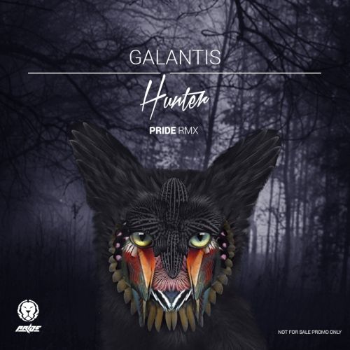Galantis - Hunter (PRIDE Remix).mp3