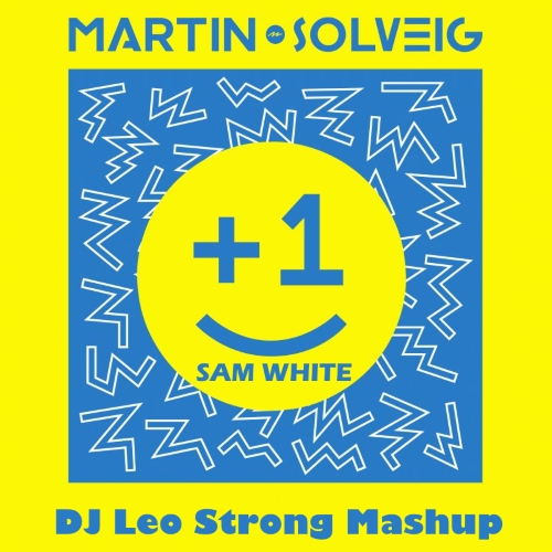 Martin Solveig & Sam White ft. Kream vs. Alex Shik & Rich-Mond - +1 (DJ Leo Strong Mash Up) [2017]