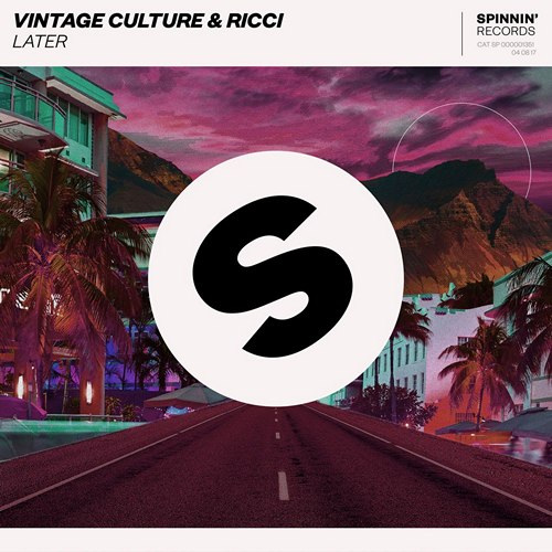 Vintage Culture & Ricci - Later (Extended Mix).mp3