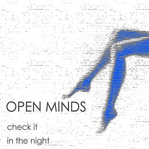 Open Minds - In The Night (Original Mix).mp3