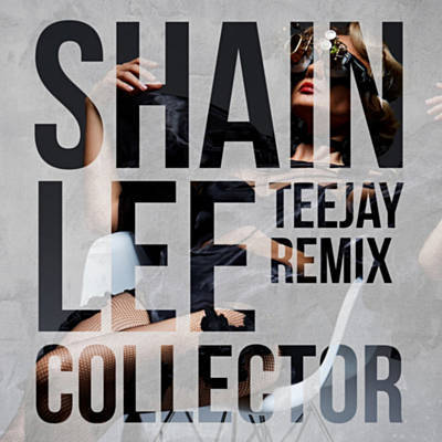 Shain Lee  Collector (Teejay Remix).mp3
