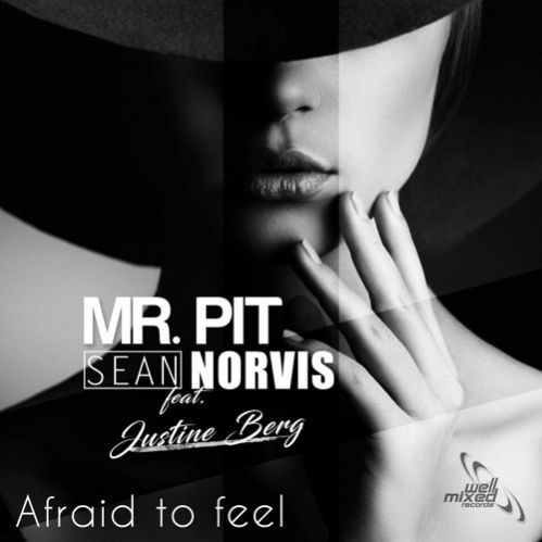 Mr. Pit, Sean Norvis Feat. Justine Berg - Afraid To Feel (Sean Norvis Remix).mp3