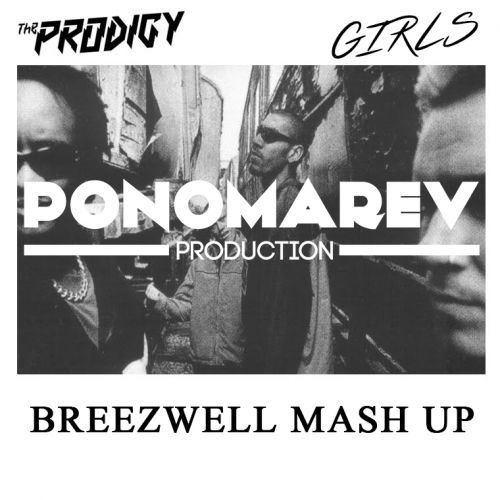 The Prodigy-Girls (Breezwell Mash Up).mp3