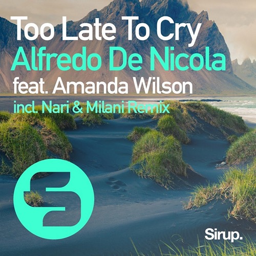 Alfredo De Nicola feat. Amanda Wilson - Too Late to Cry (Nari & Milani Remix).mp3