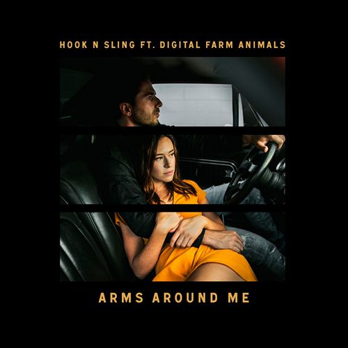 Hook N Sling & Digital Farm Animals - Arms Around Me.mp3