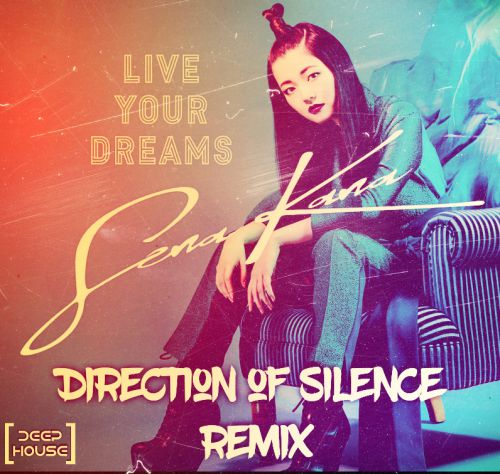 SenaKana - Live your dreams (Direction of Silence Remix).mp3
