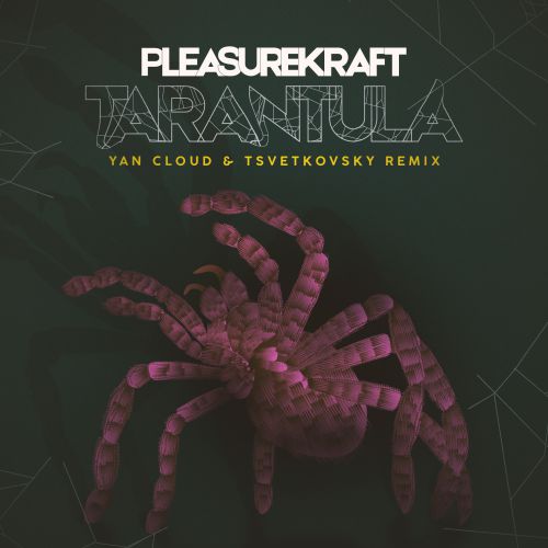 Pleasurekraft - Tarantula (Yan Cloud & Tsvetkovsky Remix).mp3