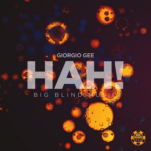 Giorgio Gee - Hah! (Original Mix).mp3