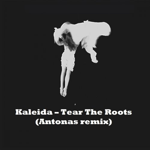 Kaleida - Tear The Roots (Antonas Remix) [2017]