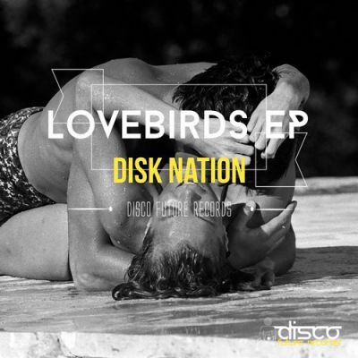 Disk Nation - Shine (Original Mix).mp3