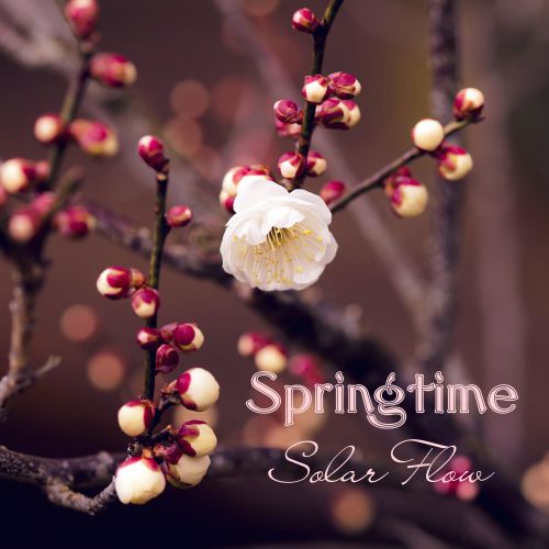 SolarFlow - Springtime (Original Mix).mp3