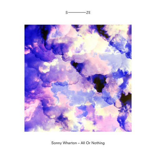 Sonny Wharton - All Or Nothing (Original Mix).mp3
