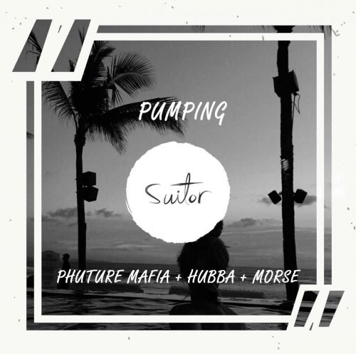Phuture Mafia, Hubba & Morse - Pumping (Radio Edit).mp3