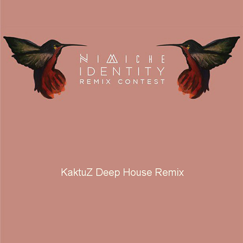 Nimiche - Identity (KaktuZ Extended Deep House Remix).mp3