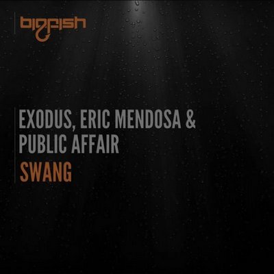 Exodus, Eric Mendosa & Public Affair - Swang (Original Mix).mp3