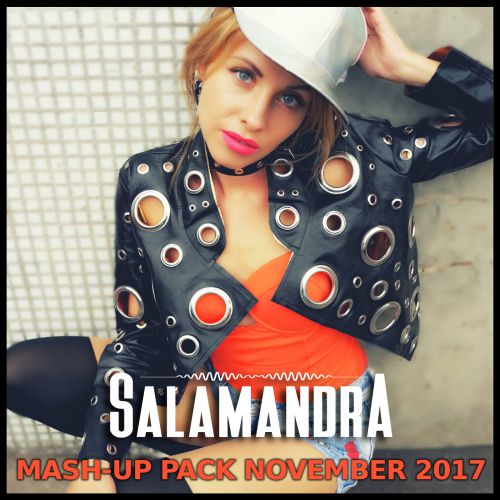 Dj Salamandra - Mash-Up Pack November [2017]