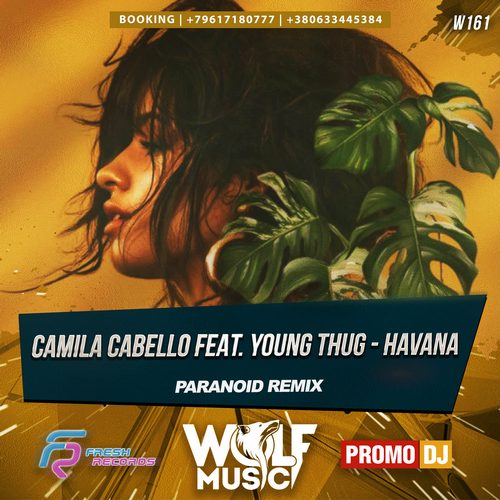 Camila Cabello feat. Young Thug - Havana (Paranoid Remix) [2017]