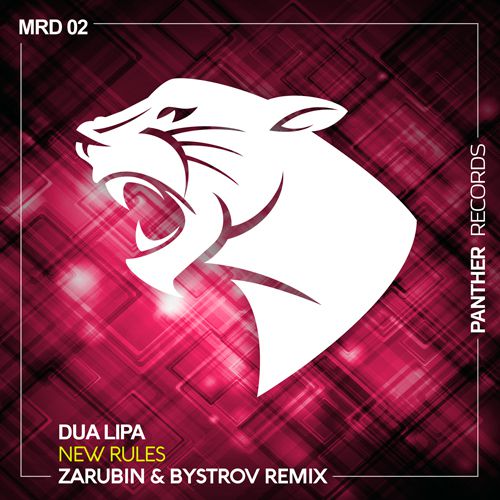 Dua Lipa - New Rules (Zarubin & Bystrov Remix) .mp3