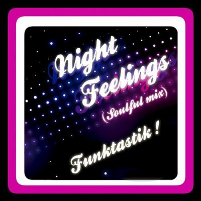 Funktastik! - Night Feelings  (Soulful Mix).mp3