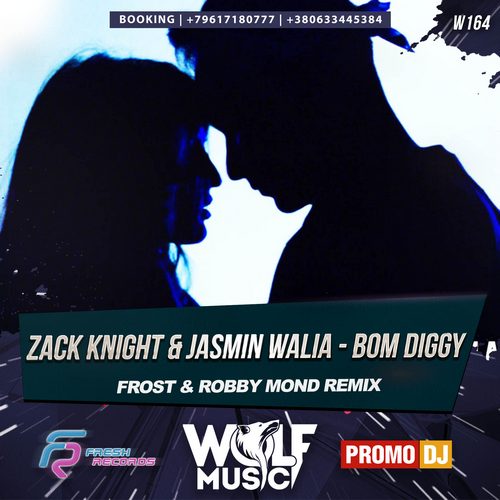 Zack Knight & Jasmin Walia - Bom Diggy (Frost & Robby Mond Remix) [2017]