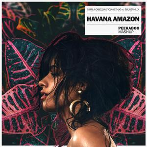 Camila Cabello & Young Thug vs. Bougenvilla - Havana Amazon (Peekaboo Mashup).mp3