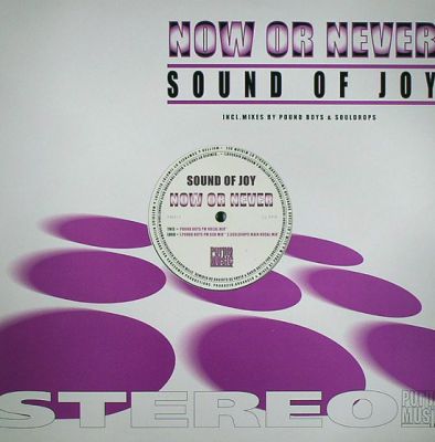 Sound Of Joy - Now Or Never (Pound Boys PM Vocal Mix).mp3