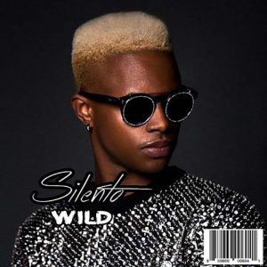 Silento - Wild (Wideboys Lets Get Wild Remix).mp3