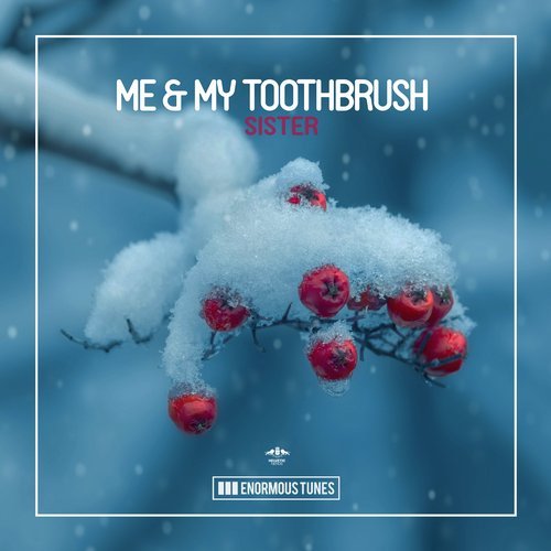 Me & My Toothbrush - Sister (Original Club Mix).mp3