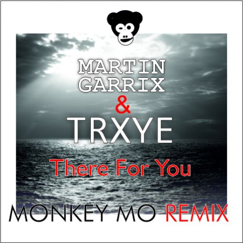 Martin Garrix & Troye Sivan - There For You (Monkey MO Remix).mp3