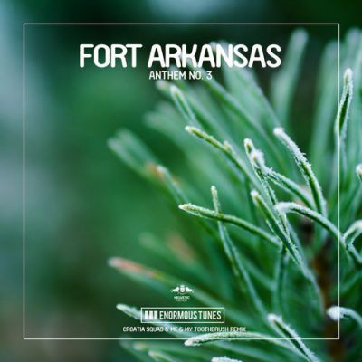 Fort Arkansas - Anthem No. 3 (Croatia Squad & Me & My Toothbrush Remix).mp3