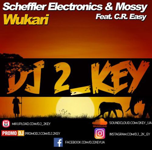 Mossy, C.R. Easy, Scheffler Electronics vs Ummet Ozcan - Wukari (Dj 2Key Mush Up) [2018]