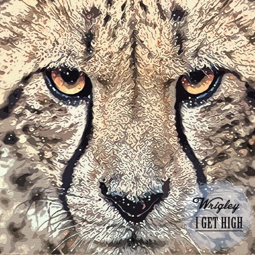 Wrigley - I Get High (Original Mix).mp3.mp3