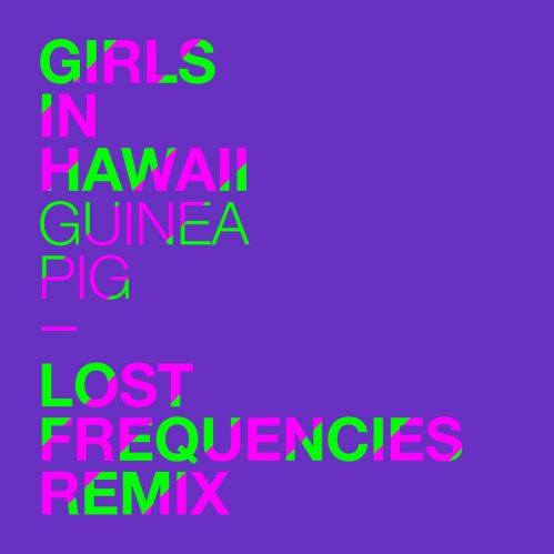 Girls In Hawaii - Guinea Pig (Lost Frequencies Remix).mp3