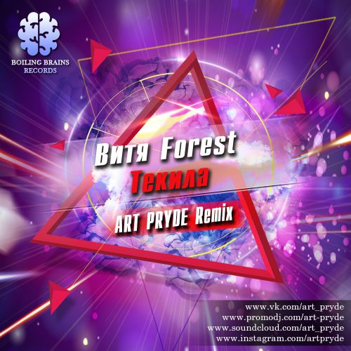  Forest -  (ART PRYDE Radio Remix).mp3
