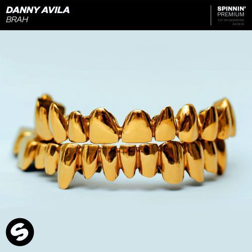Danny Avila - Brah (Extended Mix) Spinnin.mp3