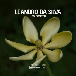 Leandro Da Silva - So Excited (Calippo's I Think I Like It Club Remix).mp3