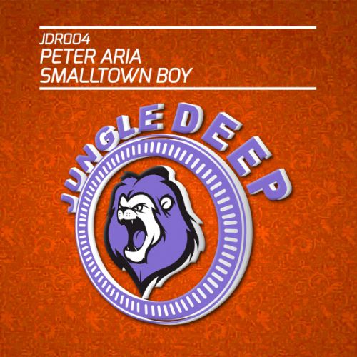 Peter Aria - Smalltown Boy (Original Mix).mp3
