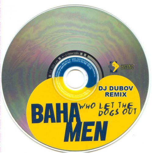 Baha Men - Who Let The Dogs Out (DJ Dubov Remix) [2018]