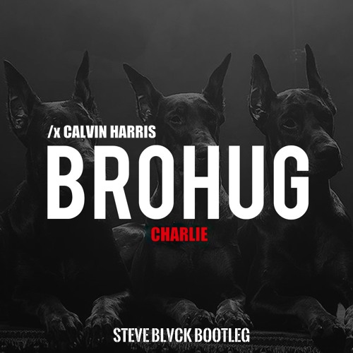 BROHUG x Calvin Harris  Charlie (Steve Blvck Bootleg).mp3