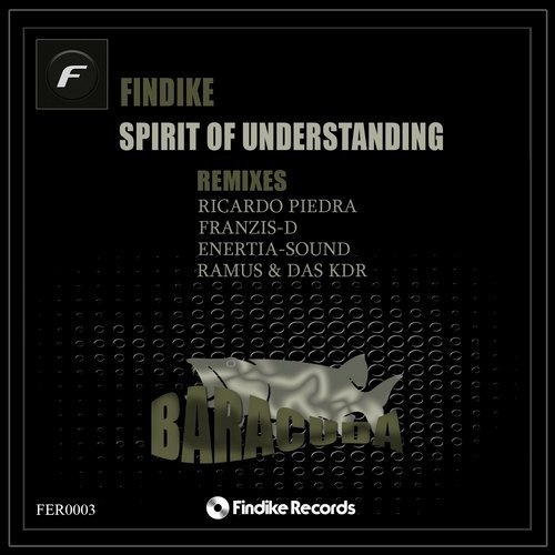 Findike - Spirit Of Understanding (Enertia-Sound Remix).mp3