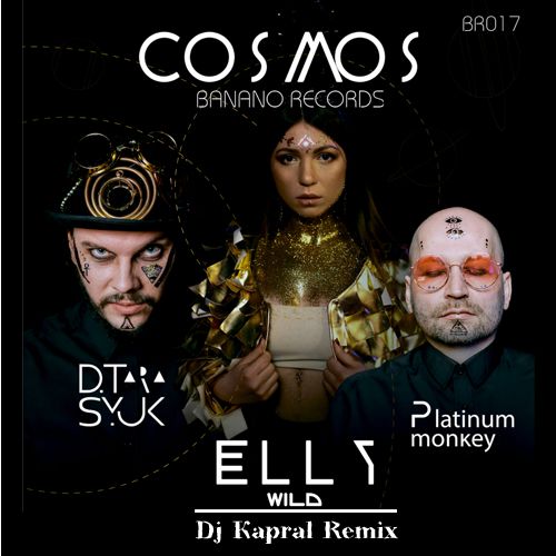 Elly Wild, D.Tarasyuk & Platinum Monkey - Cosmos (Dj Kapral Radio Remix).mp3