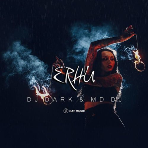 Dj Dark & Md Dj - Erhu (Extended).mp3