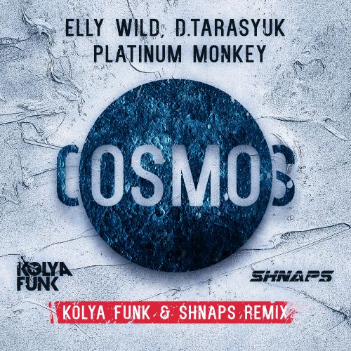 Elly Wild, D.Tarasyuk & Platinum Monkey - Cosmos (Kolya Funk & Shnaps Radio mix).mp3