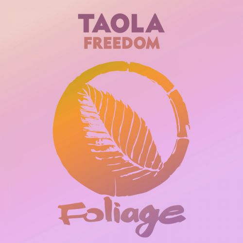 Taola - Freedom (Manoo Remix) [Foliage Records].mp3
