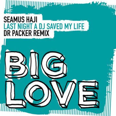 Seamus Haji - Last Night A DJ Saved My Life (Dr Packer Remix).mp3