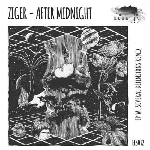 Ziger - Back Door (Original Mix) [Eleatics Records].mp3